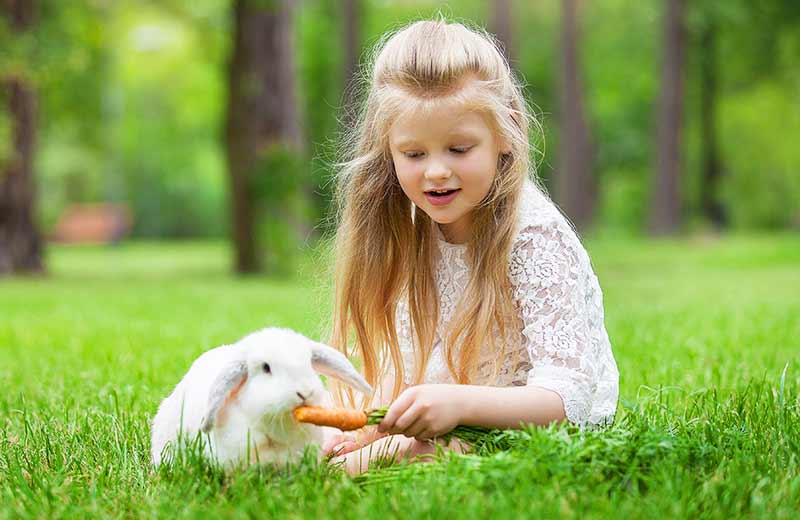 Urlaub auf dem Bauernhof